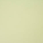Soft Mint Green Plain Stretch Gabardine Trench Coat - Ribes y Casals