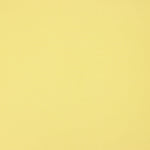 Plain Gabardine Stretch Trench Coat in Vanilla Yellow - Ribes y Casals