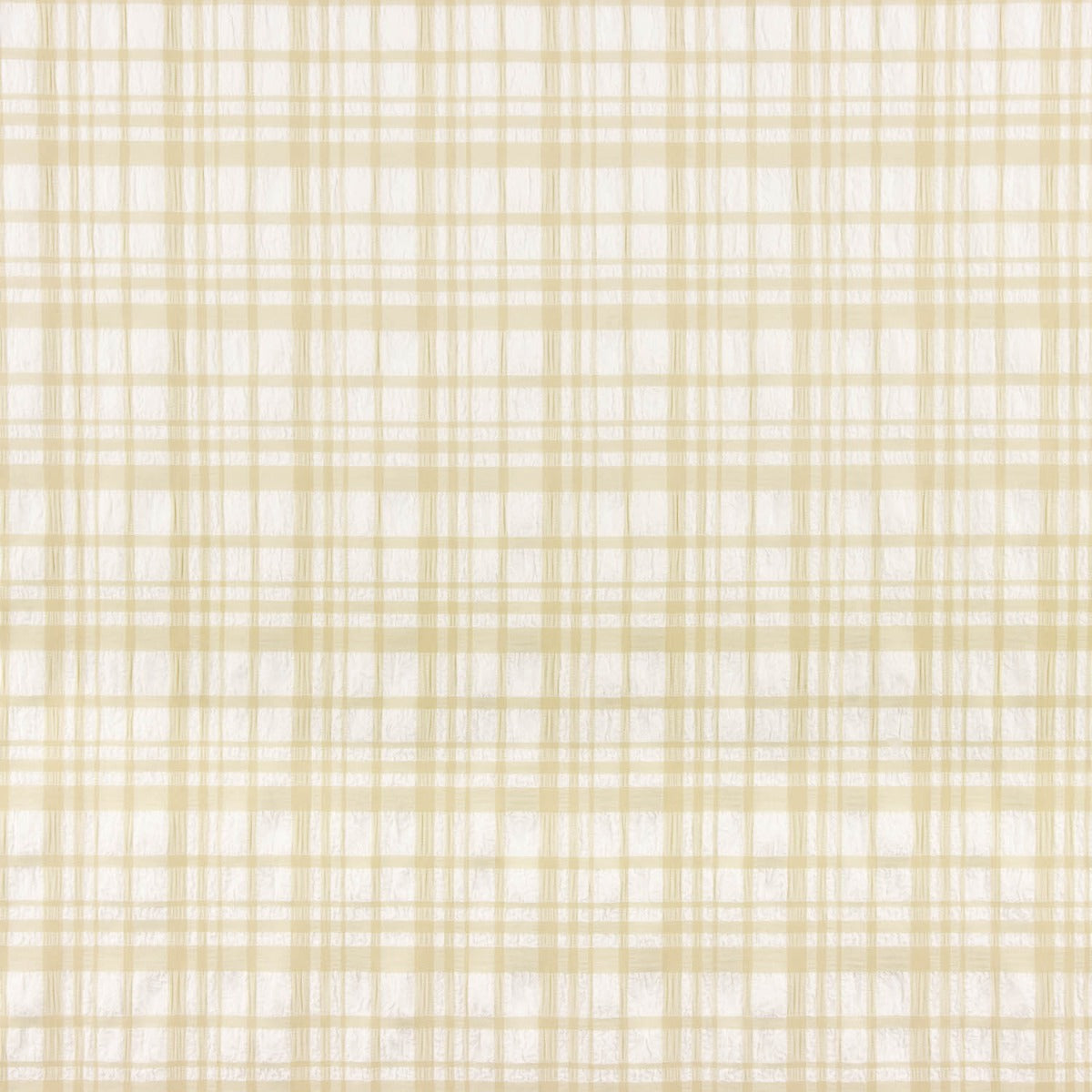 Beige and White Check Seersucker - Ribes y Casals