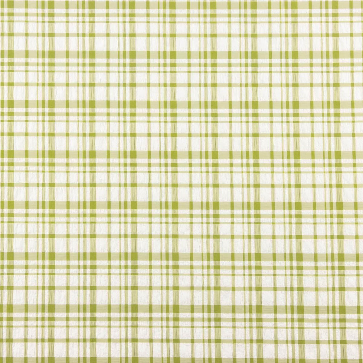 Green and White Check Seersucker - Ribes y Casals