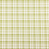 Green and White Check Seersucker - Ribes y Casals