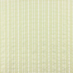 Green Vichy Check with Embroidery - Ribes y Casals