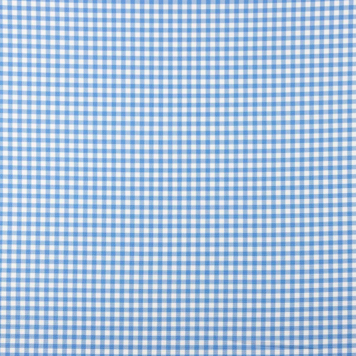 Vichy Crepe Blue and White - Ribes y Casals