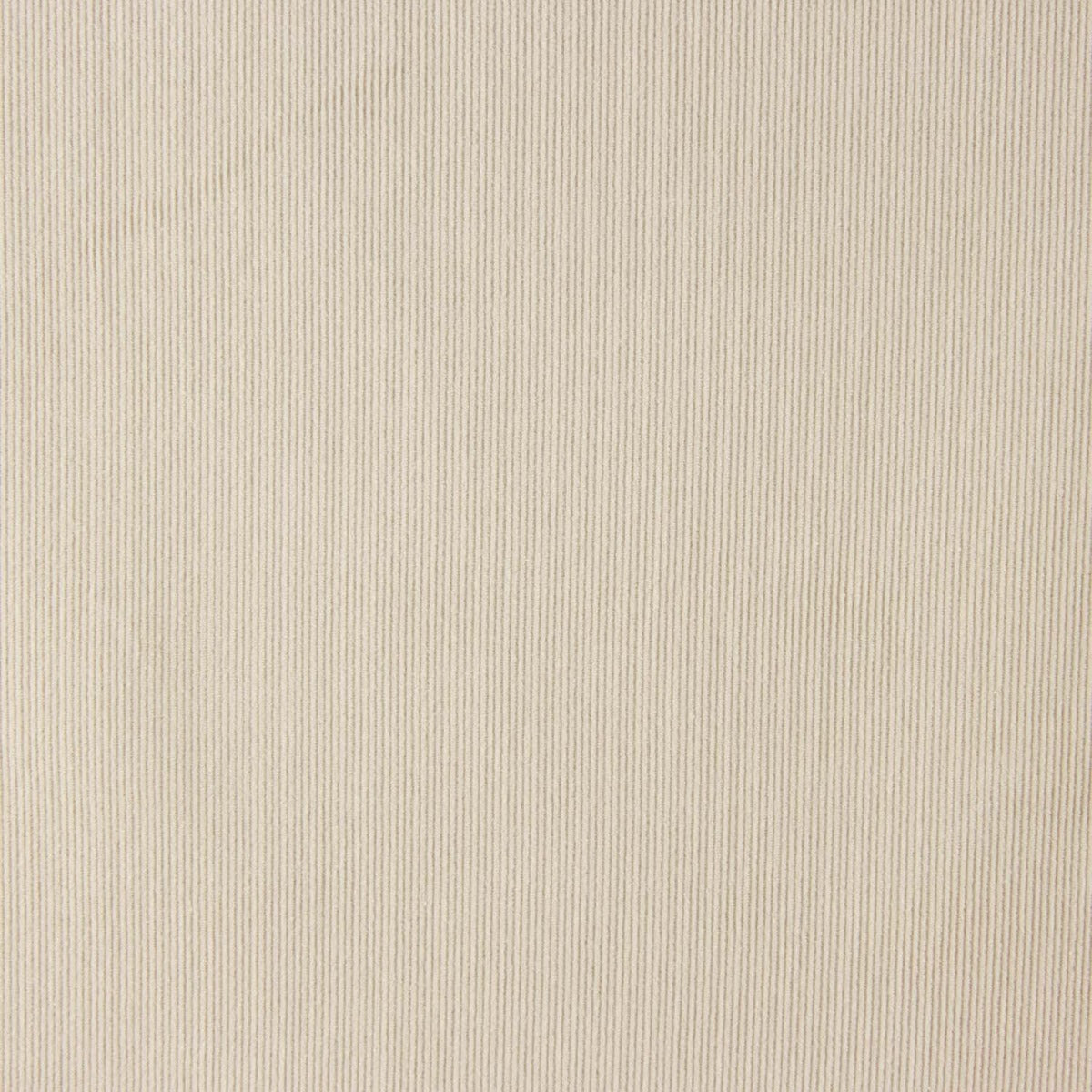 Beige Cotton Babycord - Ribes y Casals