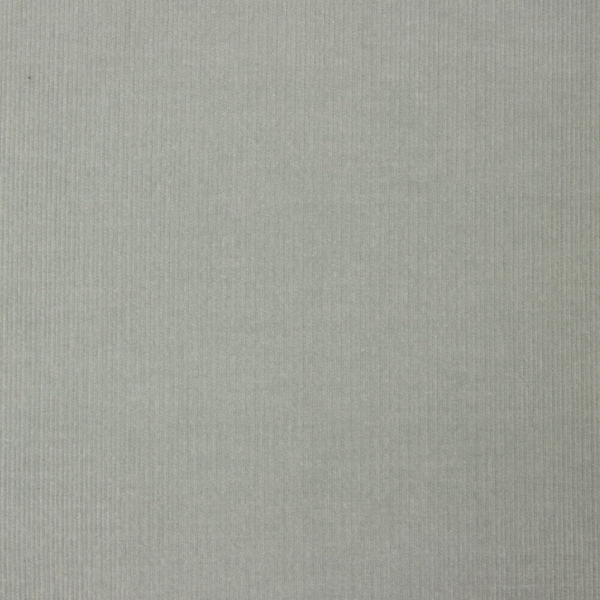 Soft Green Cotton Babycord - Ribes y Casals