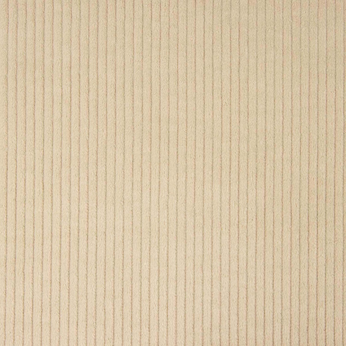 Beige Cotton Corduroy - Ribes y Casals