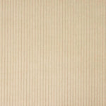 Beige Cotton Corduroy - Ribes y Casals