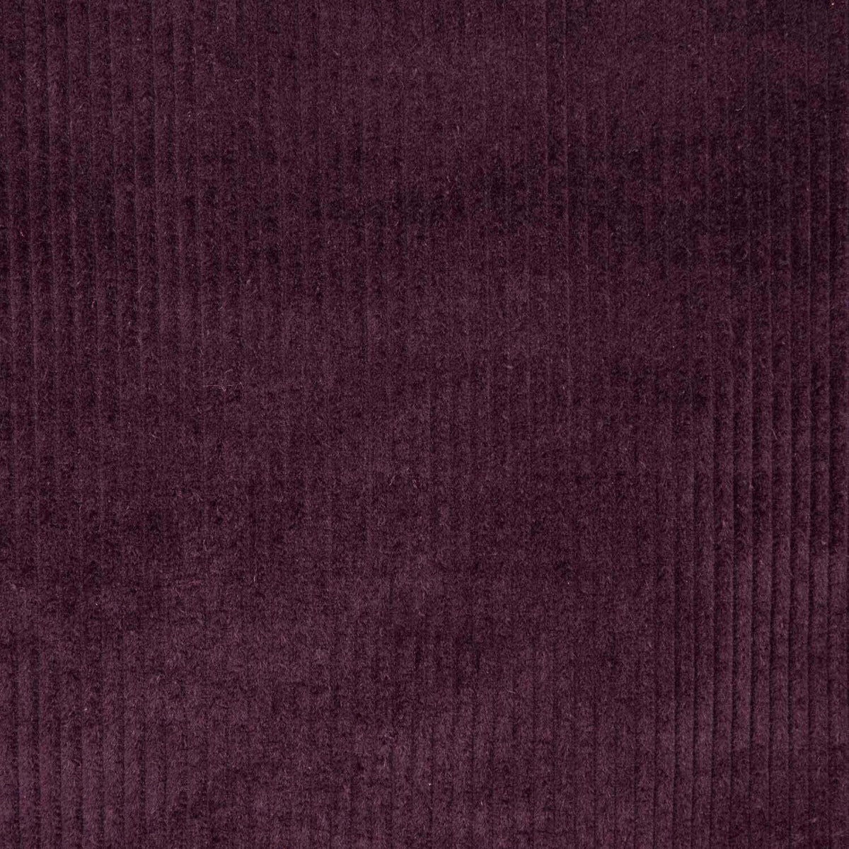 Aubergine Cotton Corduroy - Ribes y Casals