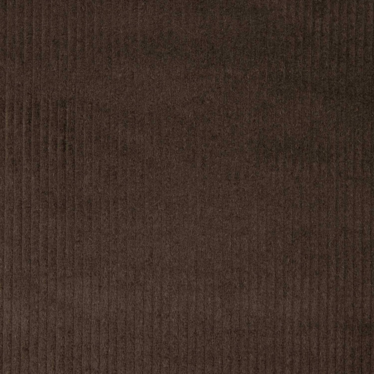 Brown Cotton Corduroy - Ribes y Casals