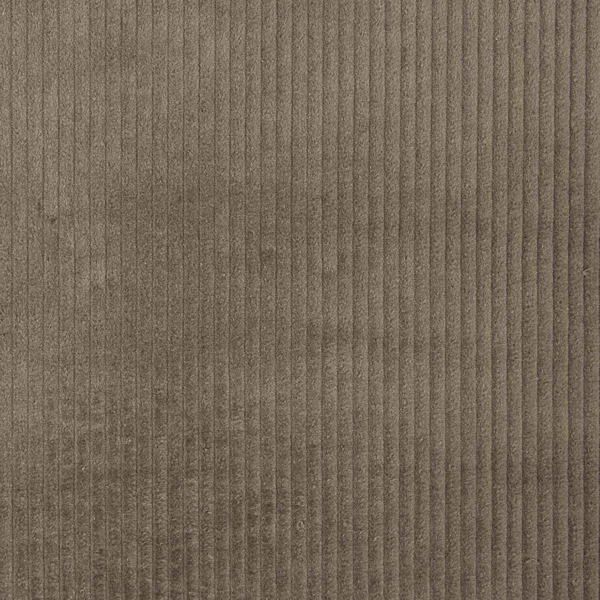 Taupe Cotton Corduroy - Ribes y Casals