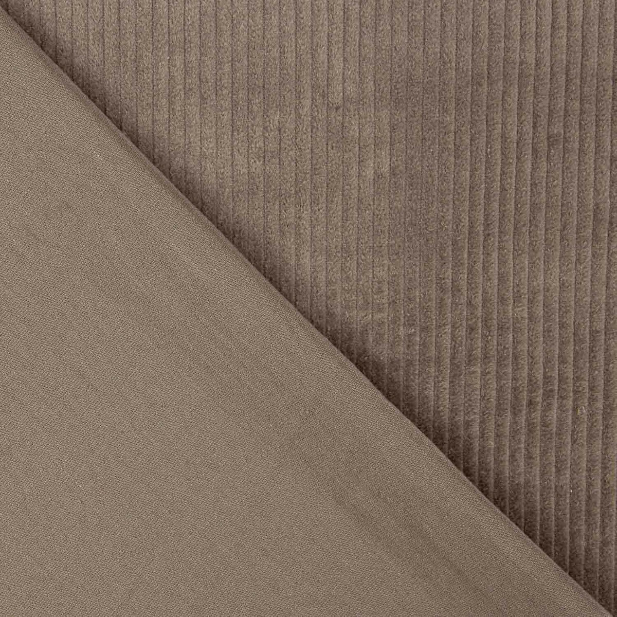 Taupe Cotton Corduroy - Ribes y Casals