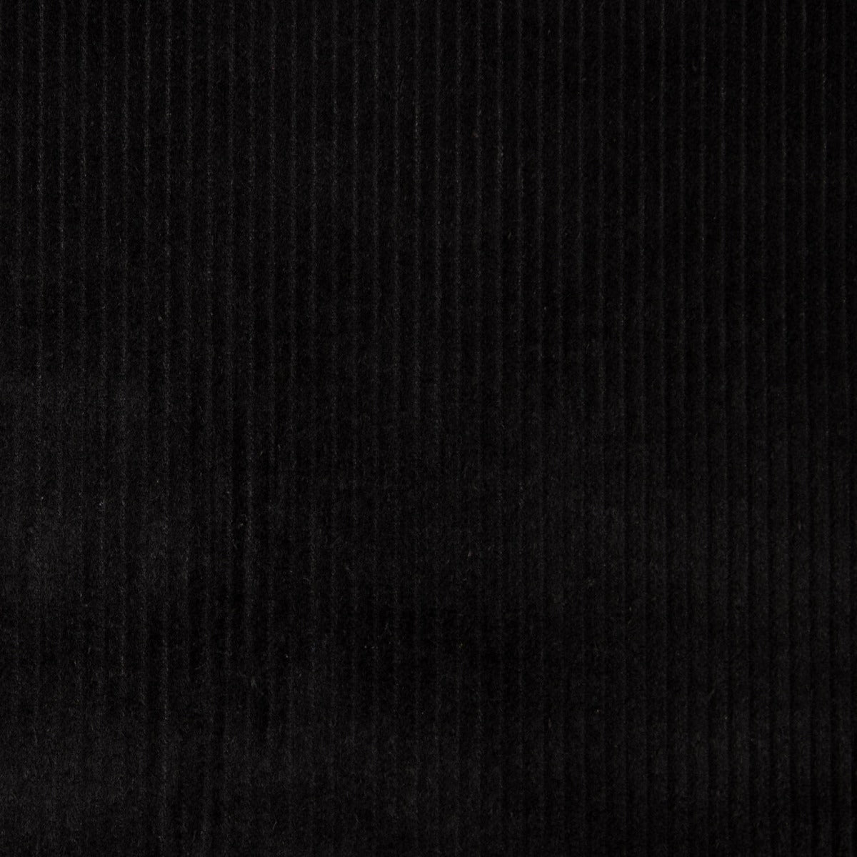 Black Cotton Corduroy - Ribes y Casals