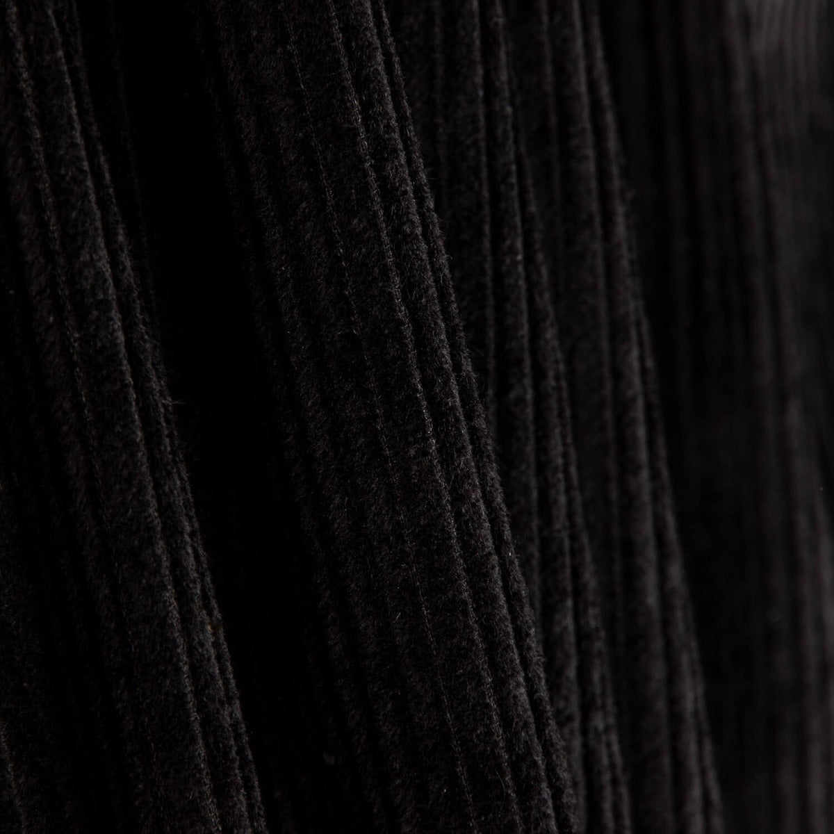 Black Cotton Corduroy - Ribes y Casals