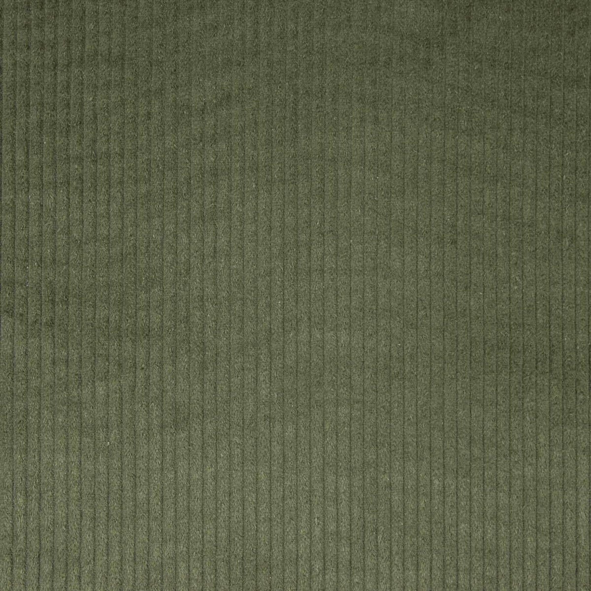 Khaki Green Cotton Corduroy - Ribes y Casals