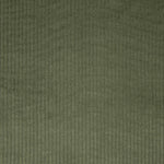 Khaki Green Cotton Corduroy - Ribes y Casals