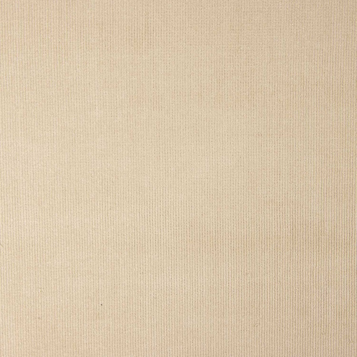 Sand Stretch Micro-Corduroy - Ribes y Casals