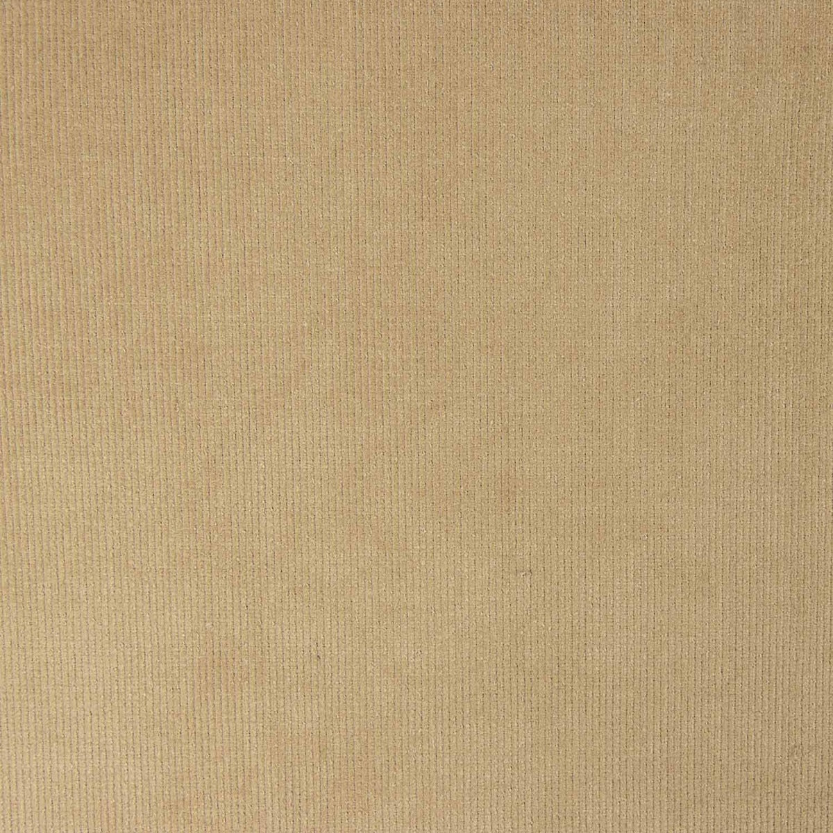 Beige Stretch Micro-Corduroy - Ribes y Casals