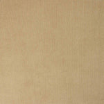 Beige Stretch Micro-Corduroy - Ribes y Casals