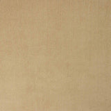 Beige Stretch Micro-Corduroy - Ribes y Casals