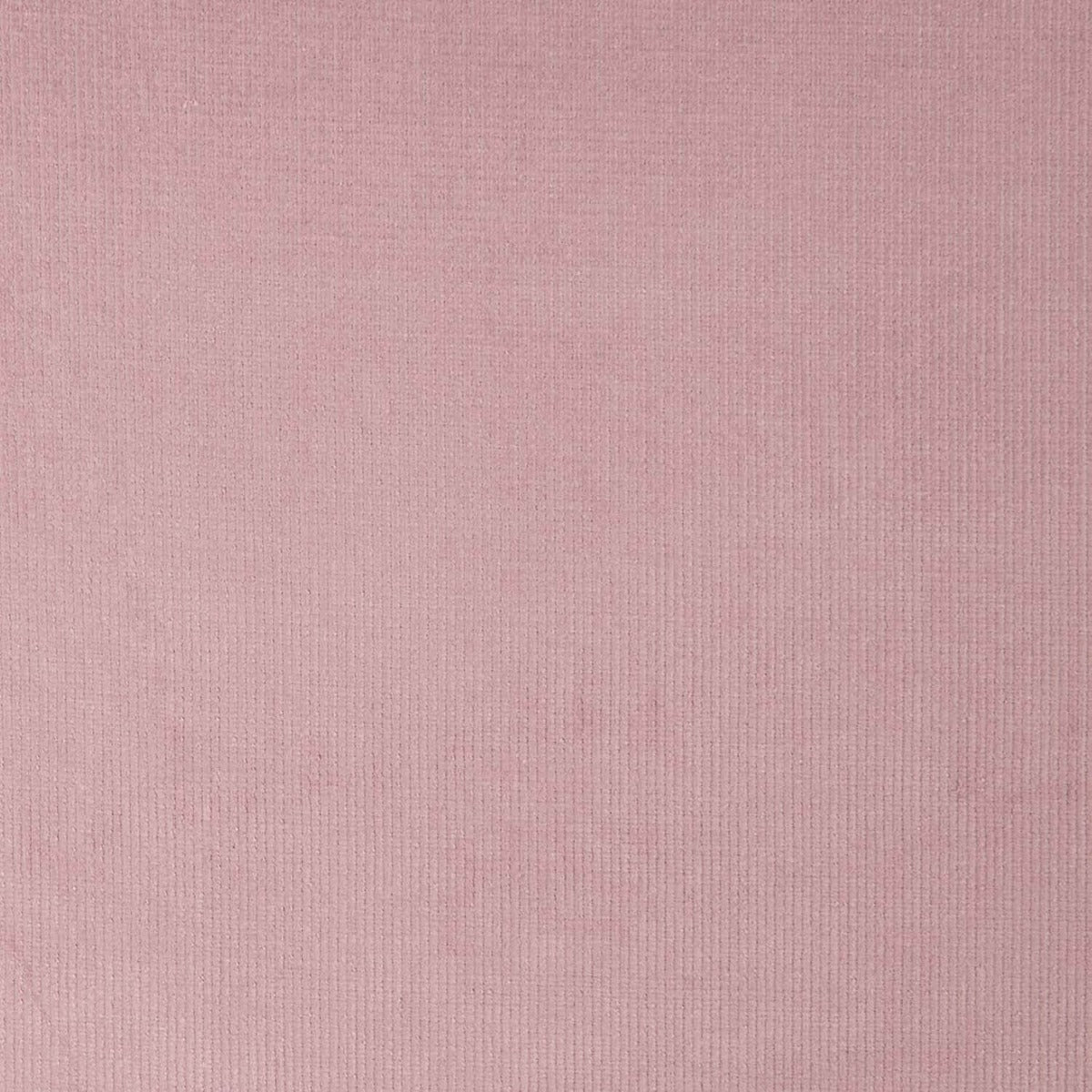 Pink Stretch Micro-Corduroy - Ribes y Casals
