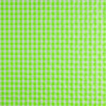 Neon Green Checked Seersucker Poplin - Ribes y Casals