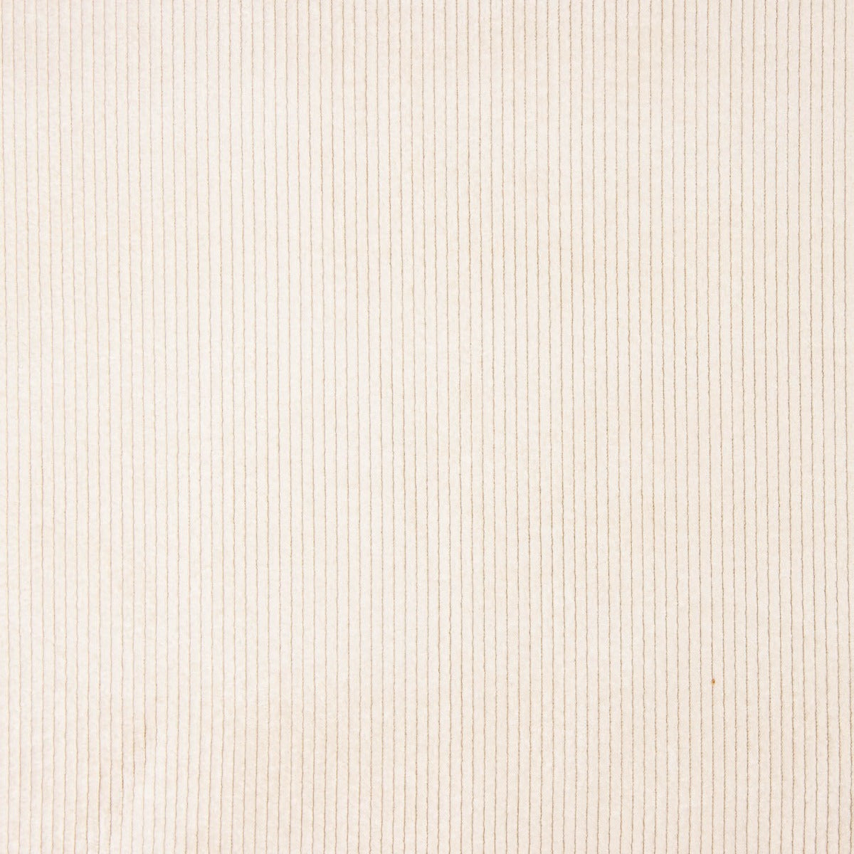 Natural Washed Corded Corduroy - Ribes y Casals