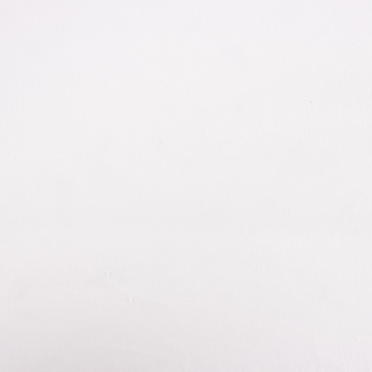 White Stretch Velvet Jersey - Ribes y Casals