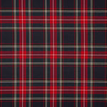Highland Tartan Viscose Fabric - Ribes y Casals