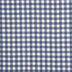 Fine Blue Gingham Flannel - Ribes y Casals