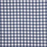 Fine Blue Gingham Flannel - Ribes y Casals