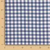 Fine Blue Gingham Flannel - Ribes y Casals