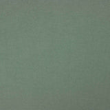 Soft Green Fine Cotton Flannel - Ribes y Casals