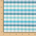 Fine Canvas, Blue-Green Checks - Ribes y Casals