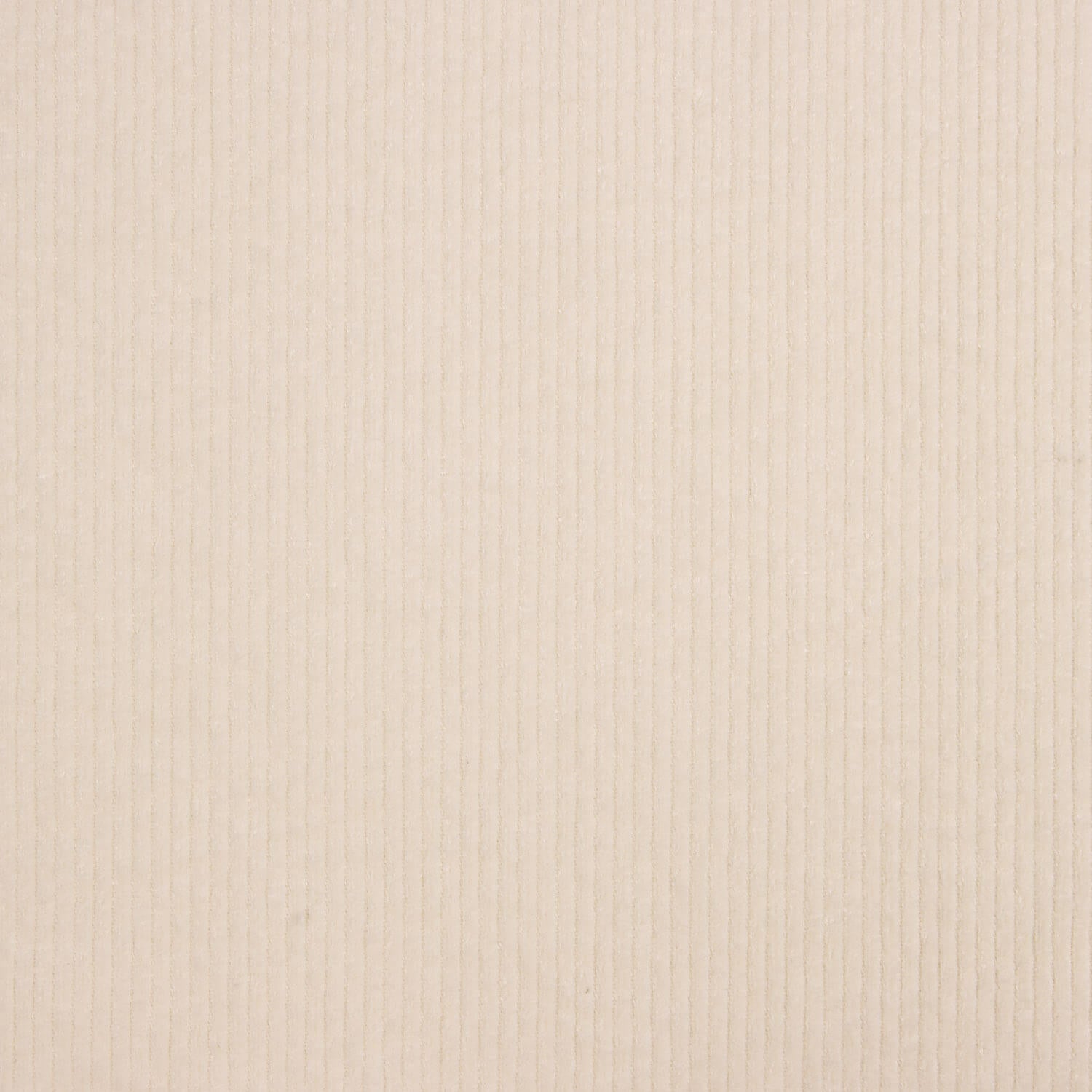 Natural White Cordelé Spandex - Ribes y Casals