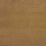 Camel Suede Neoprene Dot - Ribes y Casals