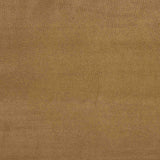 Camel Suede Neoprene Dot - Ribes y Casals