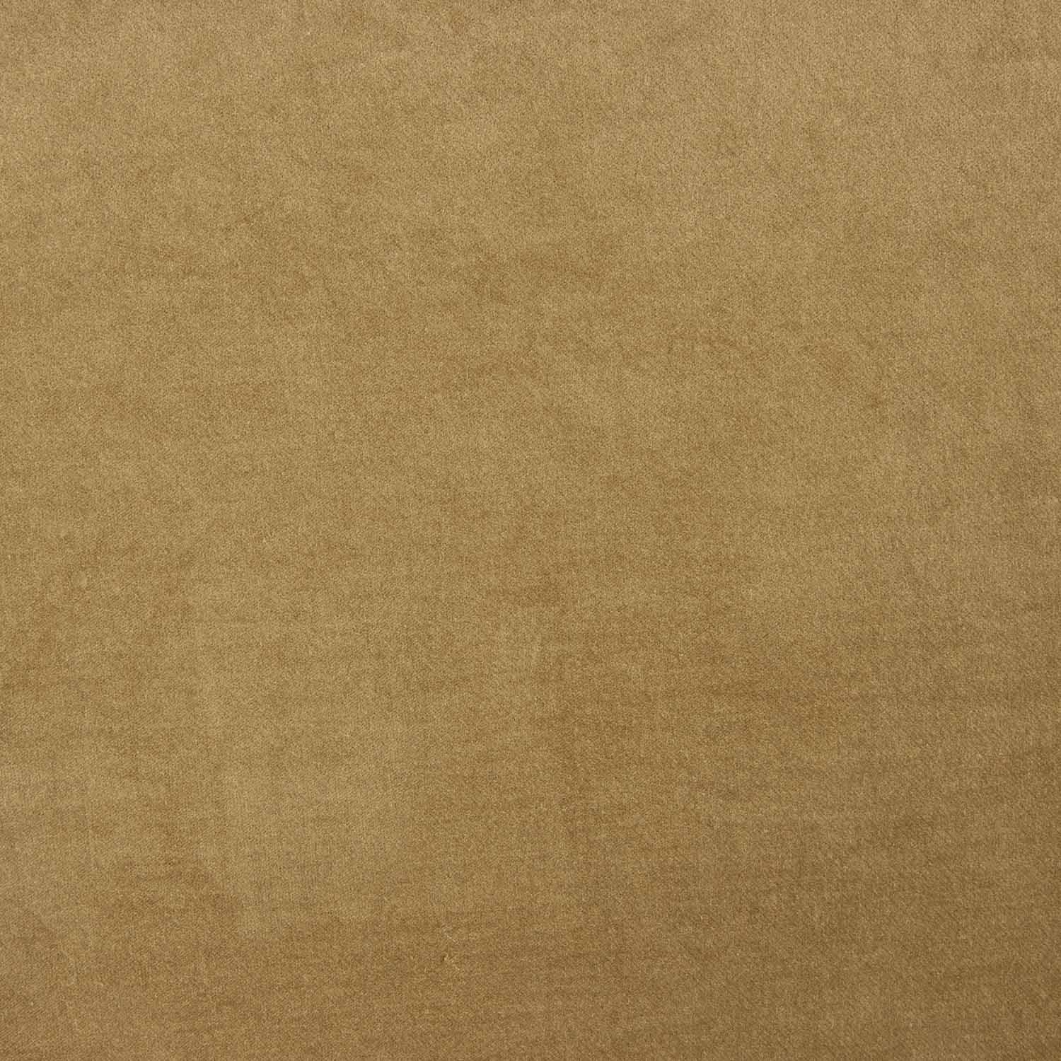 Light Camel Velvet - Ribes y Casals