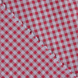 Pink and Blue Gingham Seersucker - Ribes y Casals