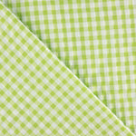 Lime Green Vichy Check Seersucker - Ribes y Casals
