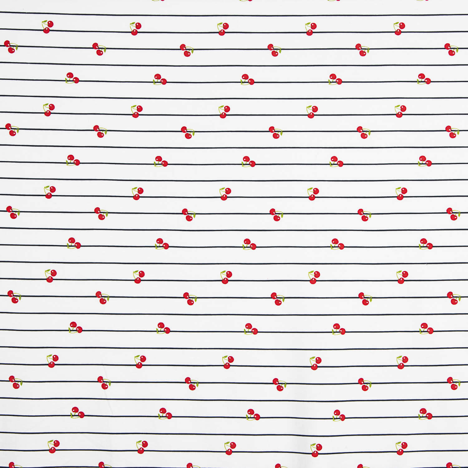 Cherry Stripes Navy Cotton Knit - Ribes y Casals