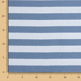 Two-tone blue and light blue striped canvas - Ribes y Casals