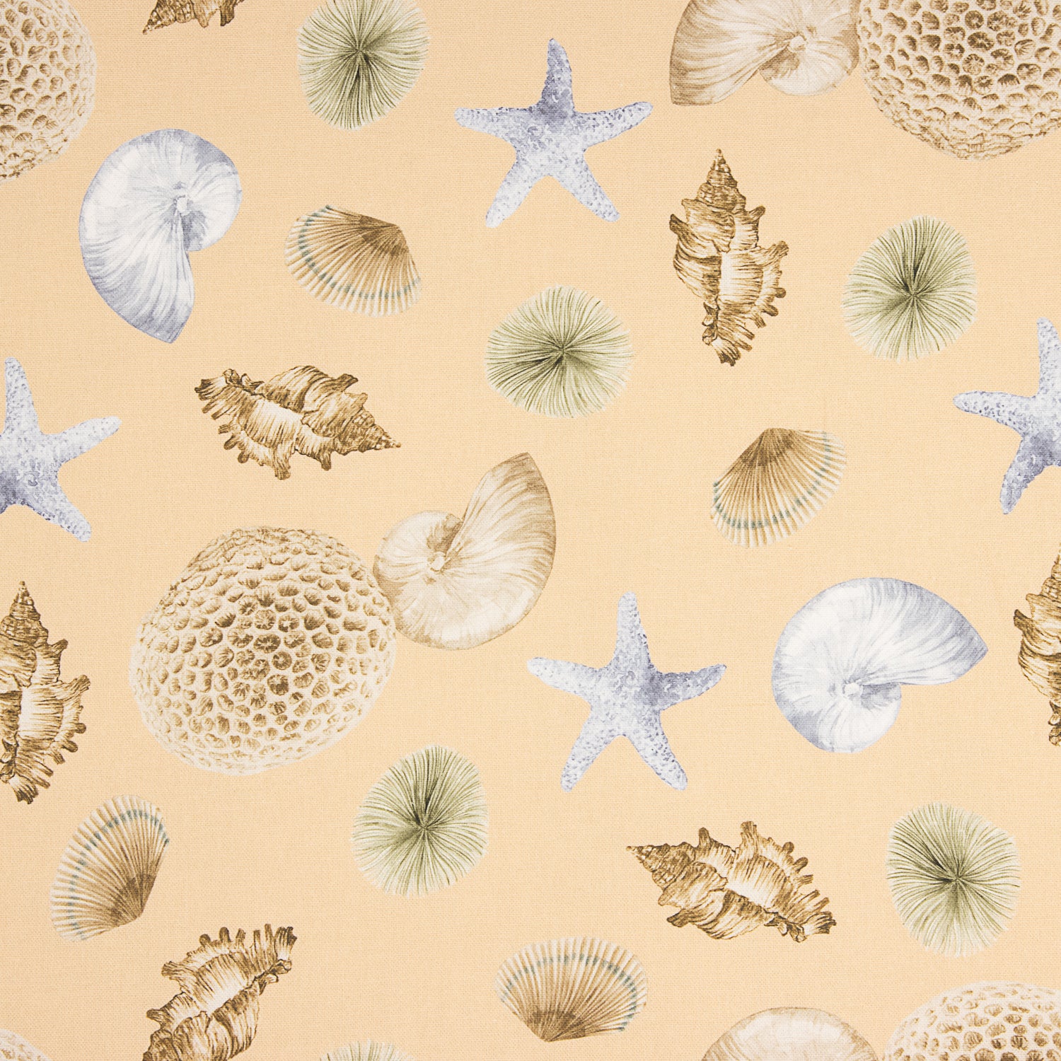 Half Panama Navy Shells Canvas - Ribes y Casals