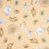Half Panama Navy Shells Canvas - Ribes y Casals