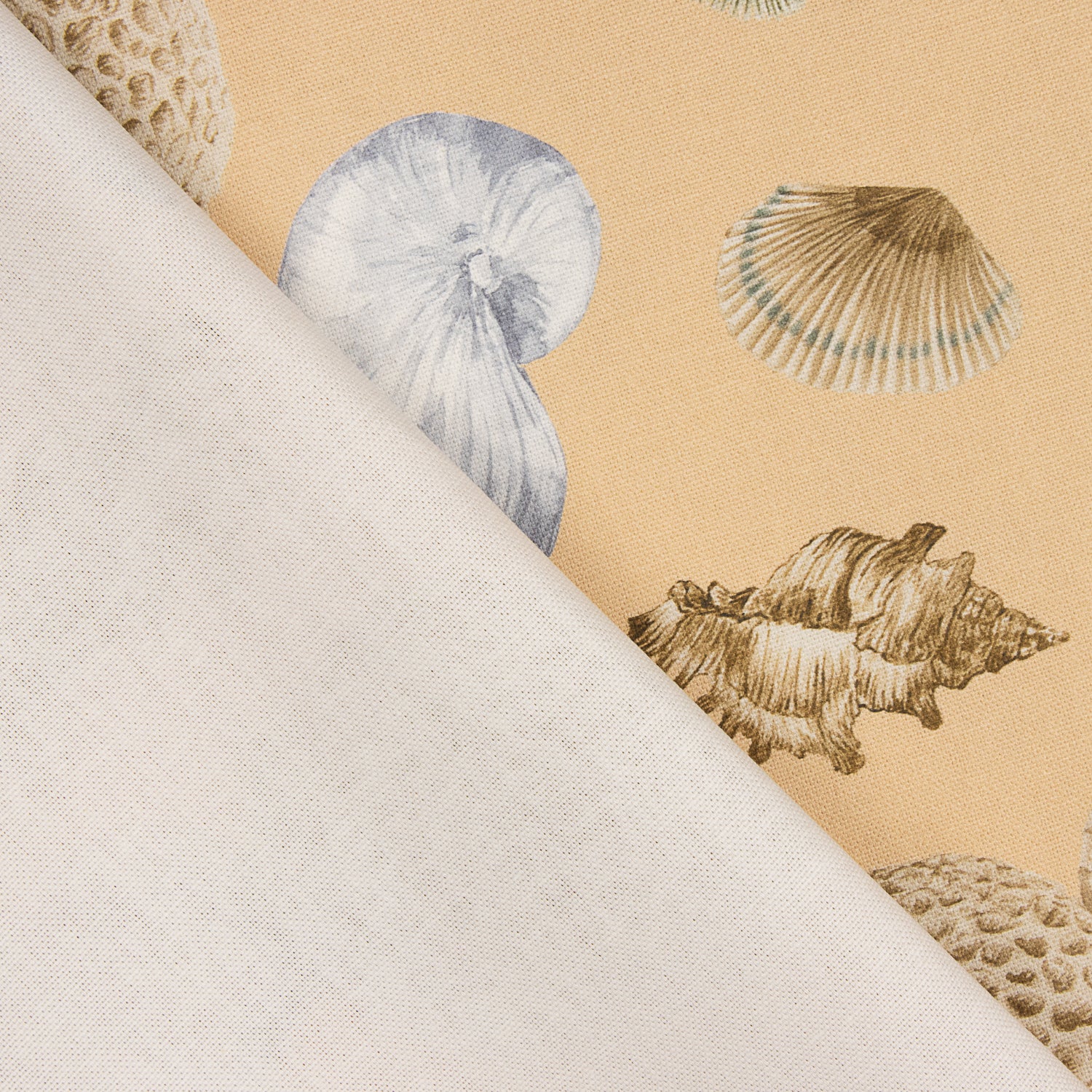 Half Panama Navy Shells Canvas - Ribes y Casals