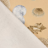 Half Panama Navy Shells Canvas - Ribes y Casals