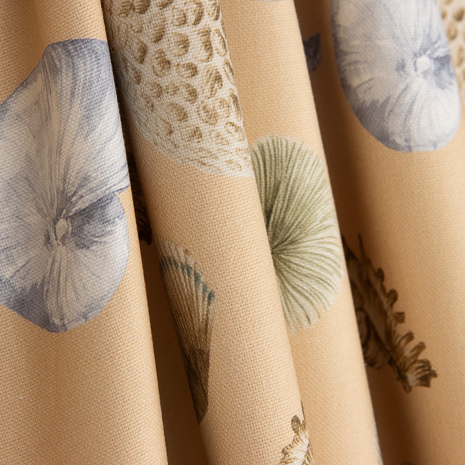 Half Panama Navy Shells Canvas - Ribes y Casals