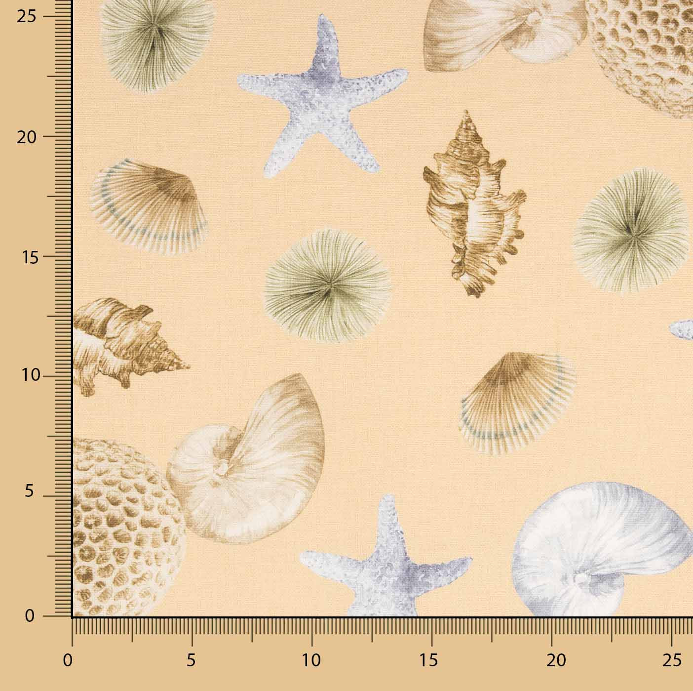 Half Panama Navy Shells Canvas - Ribes y Casals