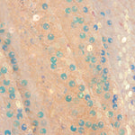 Salmon-coloured sequin tulle - Ribes y Casals