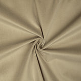 Deco Beige Polyester Velvet - Ribes y Casals