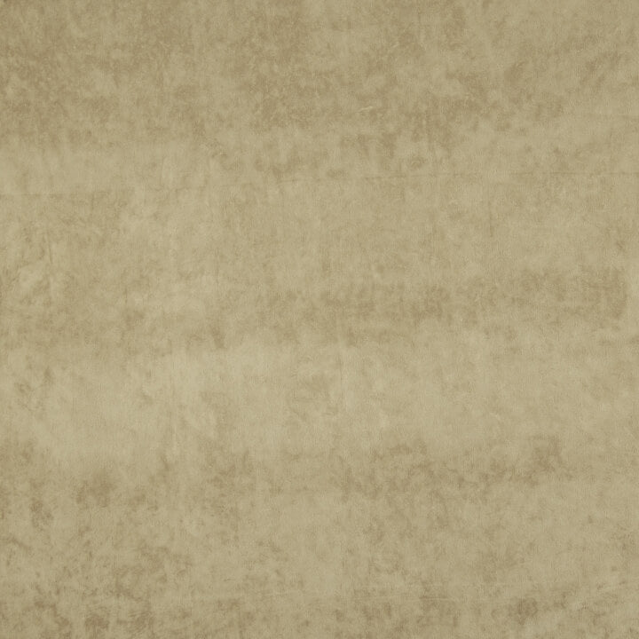 Beige Persian Scratch-Resistant Upholstery Velvet - Ribes y Casals